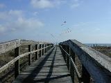 Okra Central at the North Beach, Tybee Island, Ga.